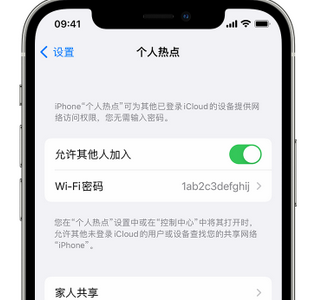 新宁apple服务站点分享iPhone上个人热点丢失了怎么办