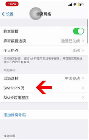 新宁苹果14维修网分享如何给iPhone14的SIM卡设置密码 