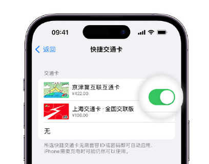 新宁apple维修点分享iPhone上更换Apple Pay快捷交通卡手绘卡面 