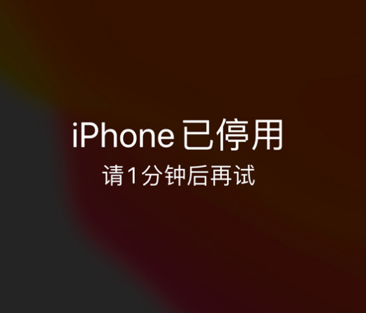 新宁苹果手机维修分享:iPhone 显示“不可用”或“已停用”怎么办？还能保留数据吗？ 