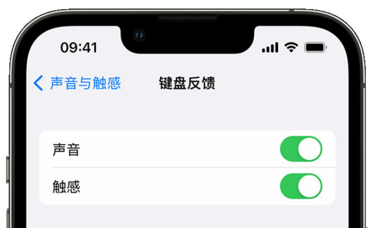 新宁苹果手机维修分享iPhone 14触感键盘使用方法 