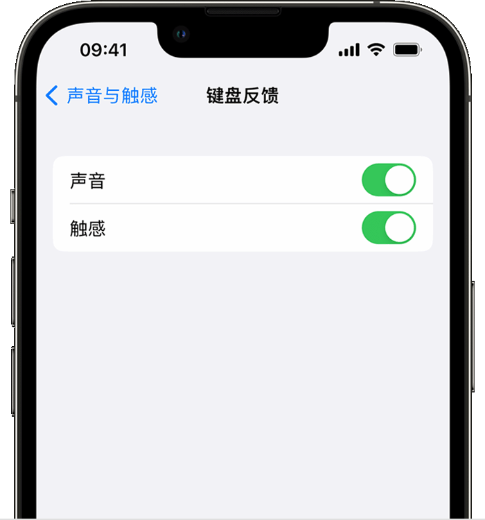 新宁苹果14维修店分享如何在 iPhone 14 机型中使用触感键盘 