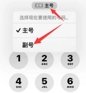 新宁苹果14维修店分享iPhone 14 Pro Max使用副卡打电话的方法 