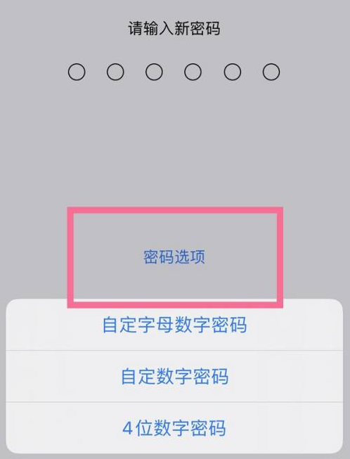 新宁苹果14维修分享iPhone 14plus设置密码的方法 