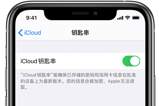 新宁苹果手机维修分享在 iPhone 上开启 iCloud 钥匙串之后会储存哪些信息 