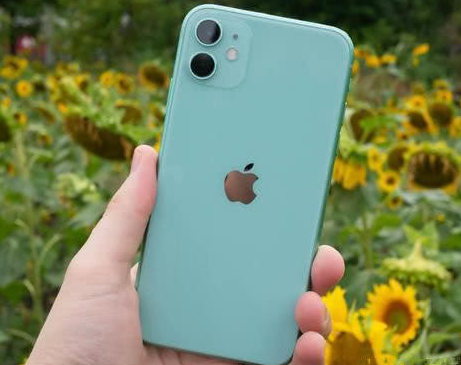 新宁苹果维修点分享iPhone 11锁屏密码认知与使用科普 
